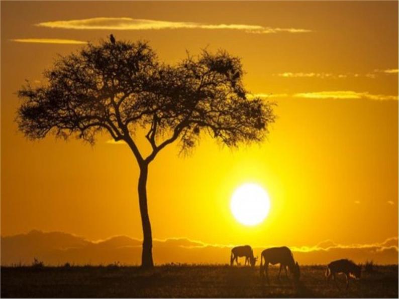 八年级上语文课件短文两篇  日 (15)_鲁教版第3页