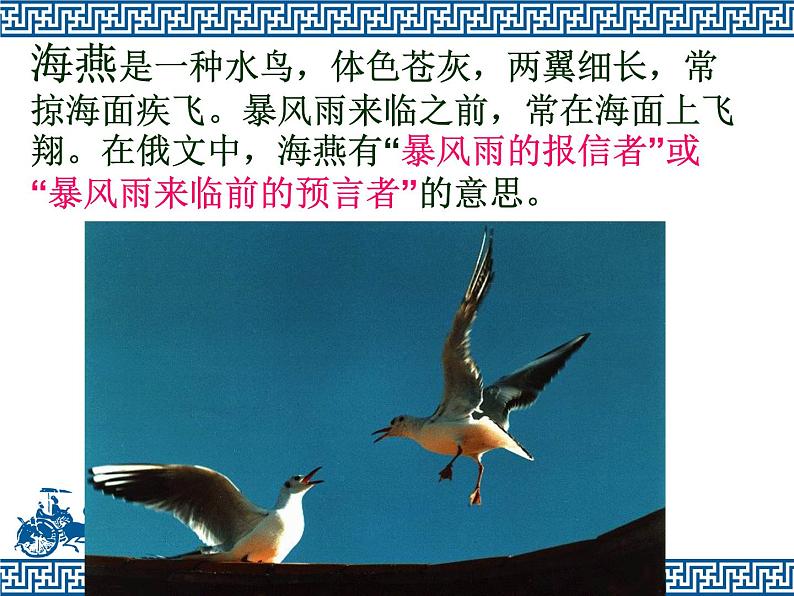 八年级上语文课件海燕 (3)_鲁教版第5页