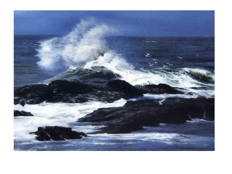 八年级上语文课件海燕 (9)_鲁教版第2页