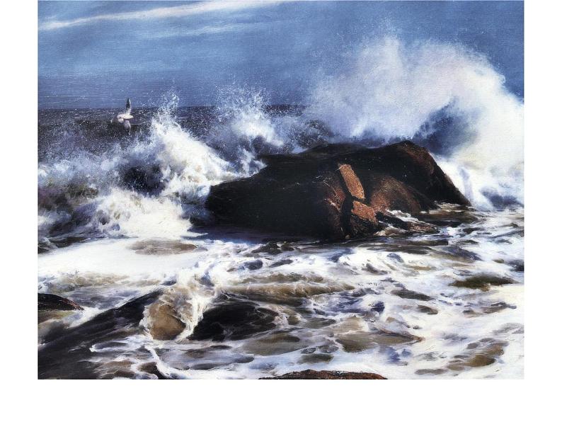 八年级上语文课件海燕 (9)_鲁教版第3页