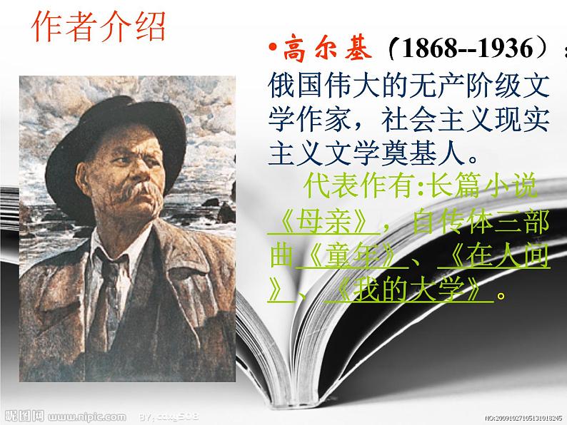 八年级上语文课件海燕 (12)_鲁教版第2页