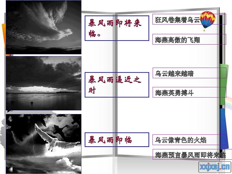 八年级上语文课件海燕 (12)_鲁教版第7页