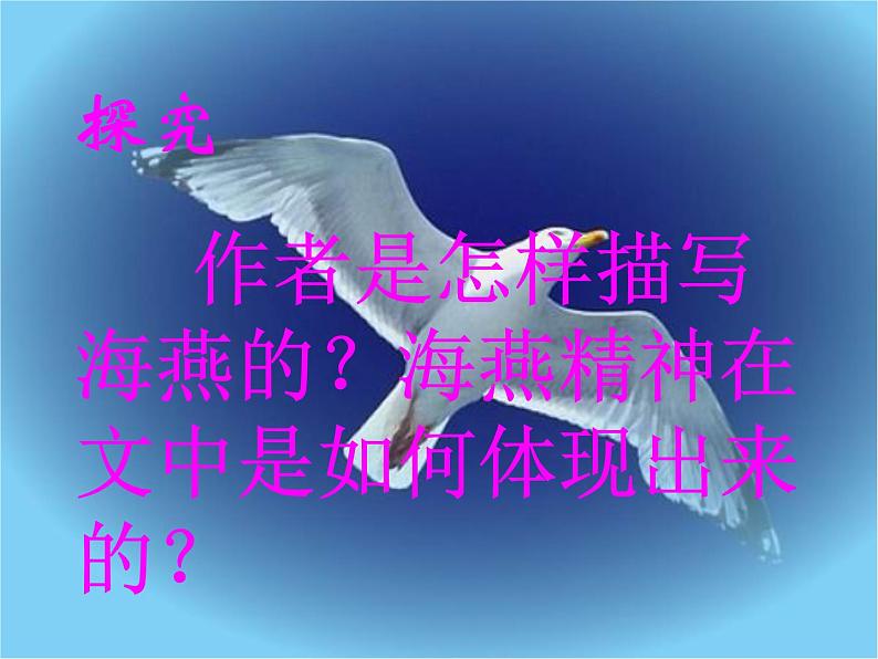 八年级上语文课件海燕 (12)_鲁教版第8页