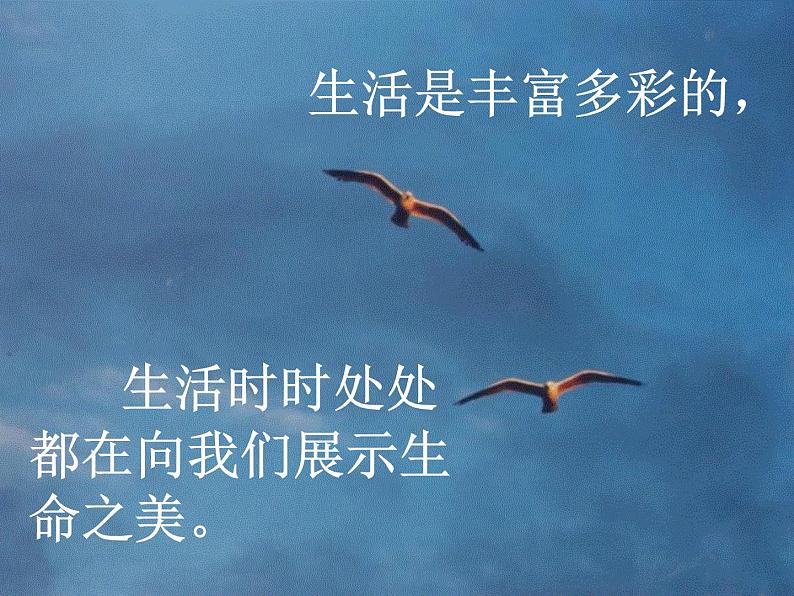 八年级上语文课件海燕 (4)_鲁教版第2页