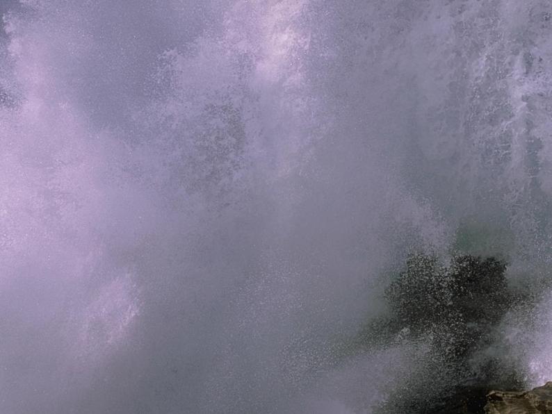 八年级上语文课件海燕 (17)_鲁教版第3页