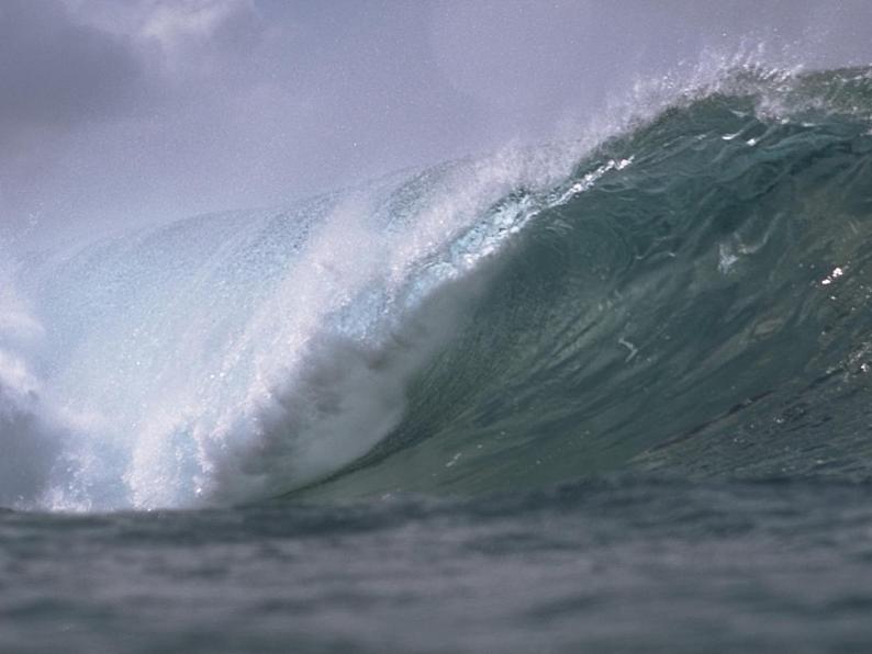 八年级上语文课件海燕 (17)_鲁教版第5页