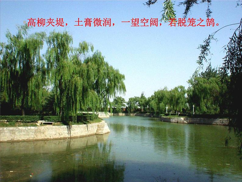 八年级上语文课件满井游记 (13)_鲁教版第2页