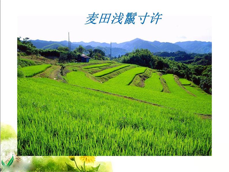 八年级上语文课件满井游记 (13)_鲁教版第7页