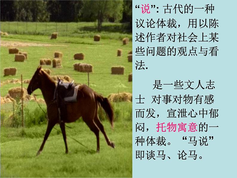 八年级上语文课件马  说 (1)_鲁教版第4页