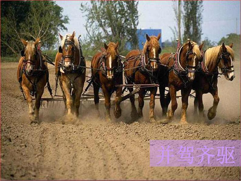 八年级上语文课件马  说 (7)_鲁教版第1页