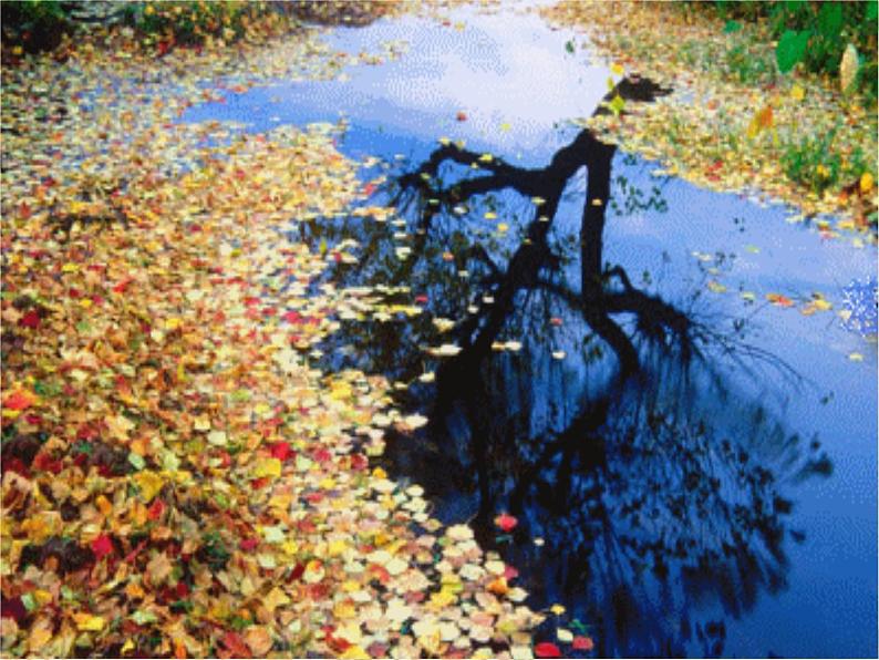 八年级上语文课件诗五首  己亥杂诗 (14)_鲁教版第5页