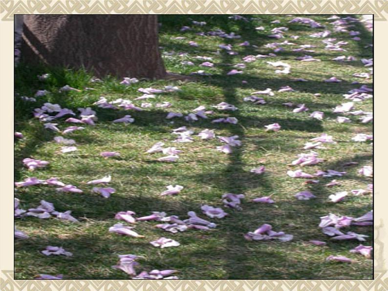 八年级上语文课件诗五首  己亥杂诗 (14)_鲁教版第6页