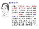 八年级上语文课件世俗奇人  泥人张 (20)_鲁教版