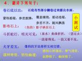 八年级上语文课件小石潭记 (6)_鲁教版