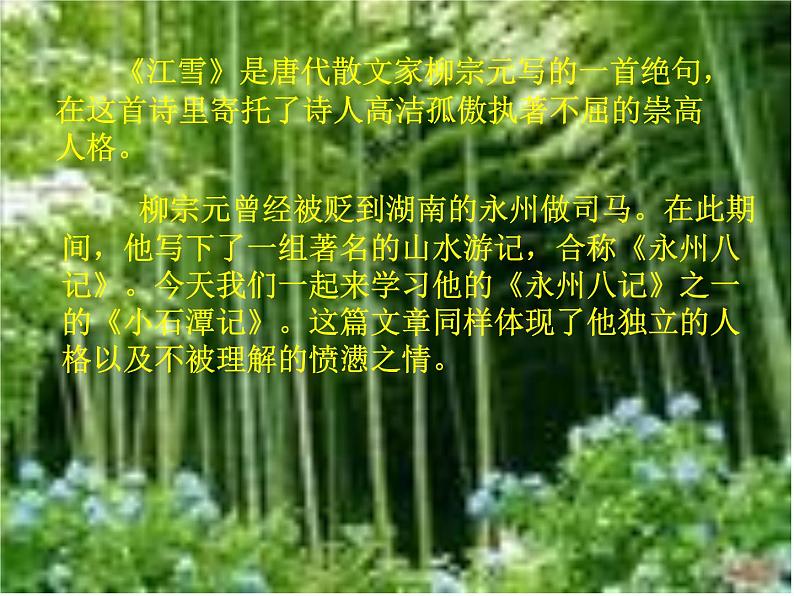 八年级上语文课件小石潭记 (13)_鲁教版第3页