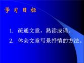 八年级上语文课件小石潭记 (5)_鲁教版