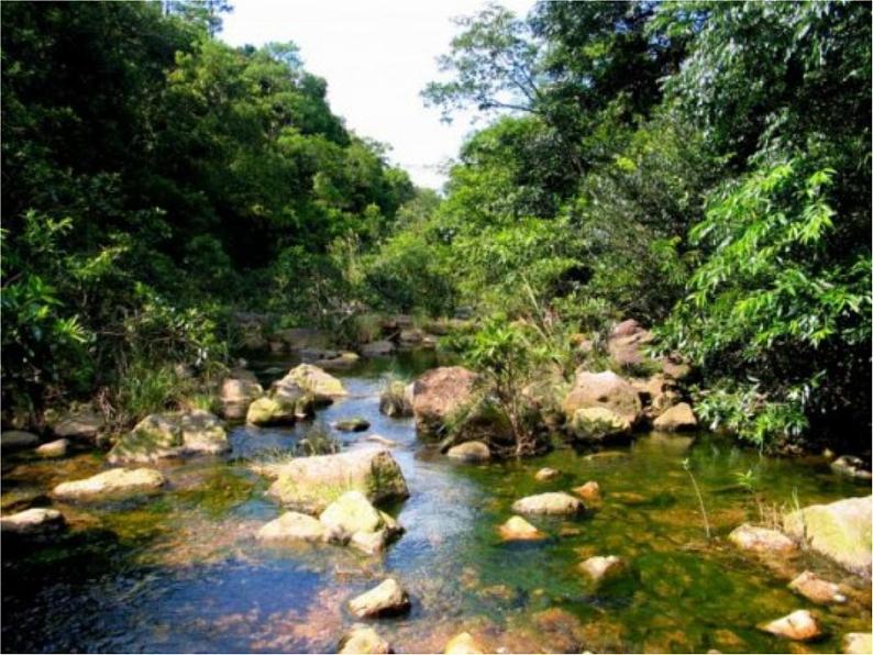 八年级上语文课件小石潭记 (3)_鲁教版07