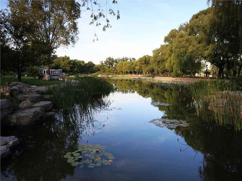 八年级上语文课件小石潭记 (3)_鲁教版08