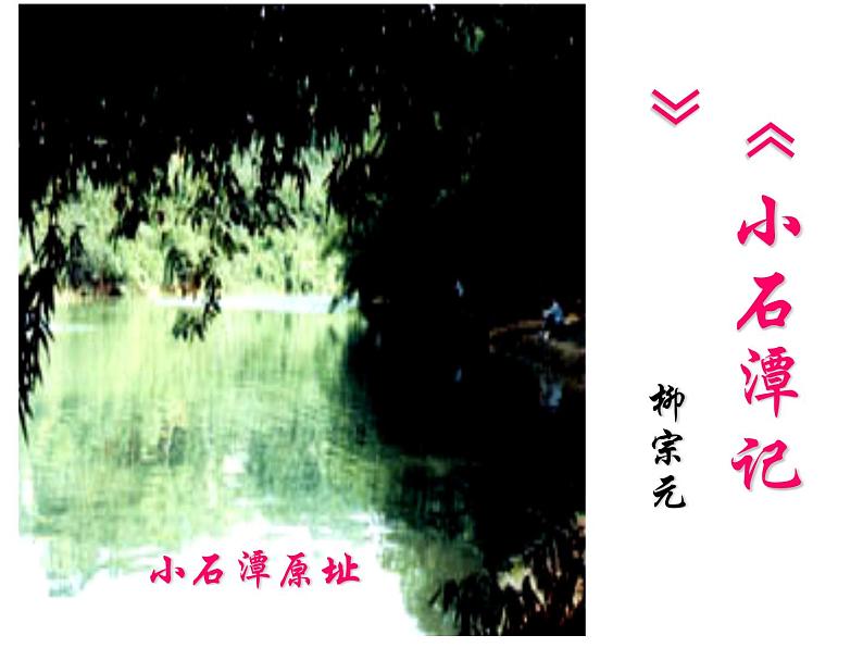 八年级上语文课件小石潭记 (18)_鲁教版第1页