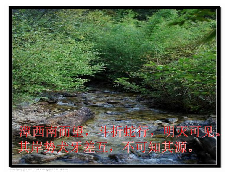 八年级上语文课件小石潭记 (18)_鲁教版第7页