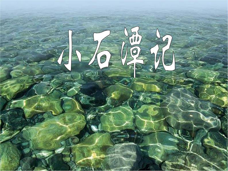 八年级上语文课件小石潭记 (11)_鲁教版第1页