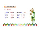 八年级上语文课件应有格物致知精神 (13)_鲁教版