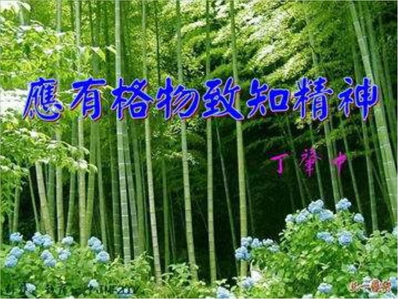 八年级上语文课件应有格物致知精神 (7)_鲁教版第1页