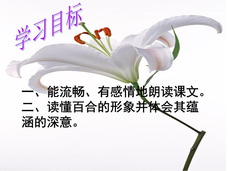 八年级上语文课件心田上的百合花开 (6)_鲁教版第3页