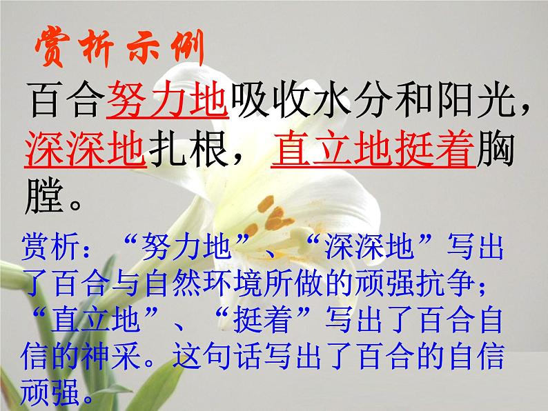 八年级上语文课件心田上的百合花开 (7)_鲁教版第6页