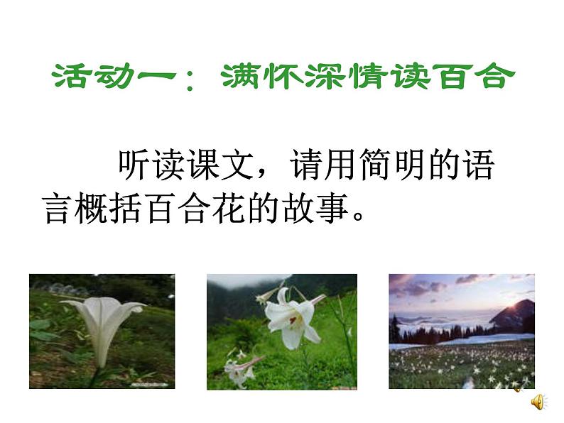 八年级上语文课件心田上的百合花开 (3)_鲁教版第4页