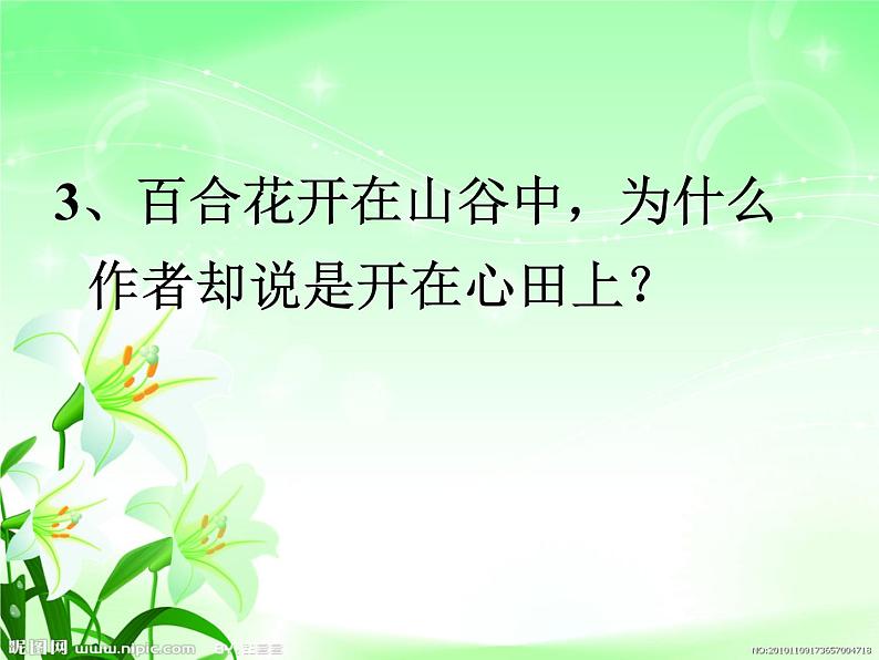 八年级上语文课件心田上的百合花开 (3)_鲁教版第8页