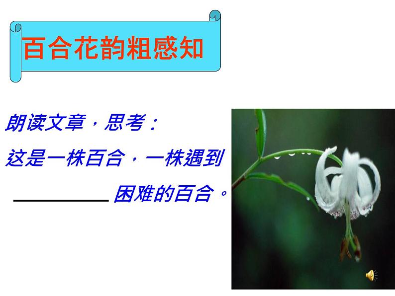 八年级上语文课件心田上的百合花开 (12)_鲁教版第3页