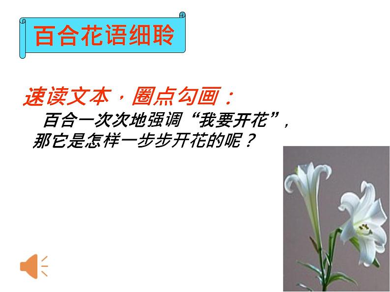 八年级上语文课件心田上的百合花开 (12)_鲁教版第8页