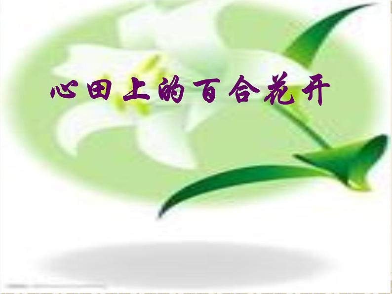 八年级上语文课件心田上的百合花开 (10)_鲁教版第1页