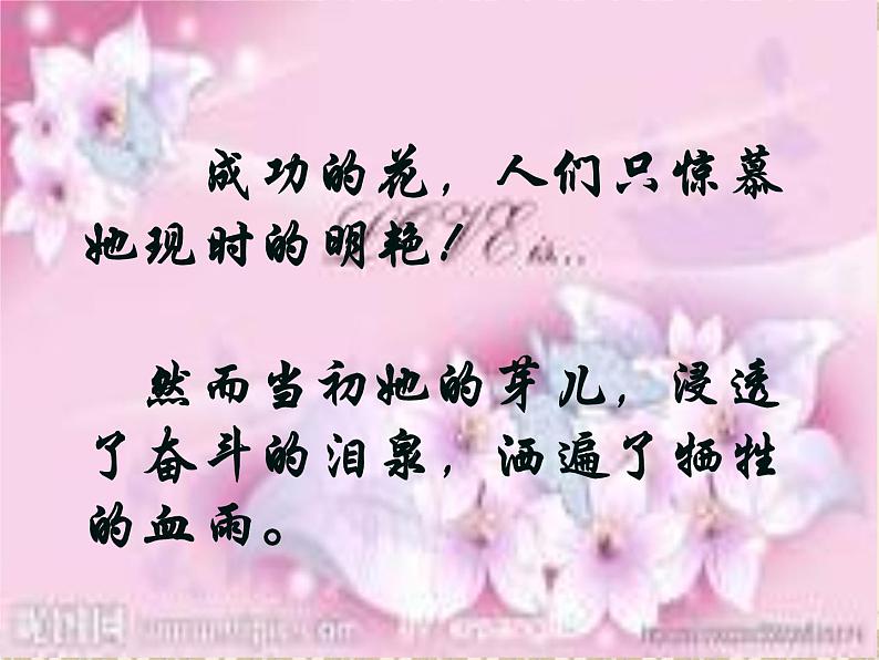 八年级上语文课件心田上的百合花开 (10)_鲁教版第2页