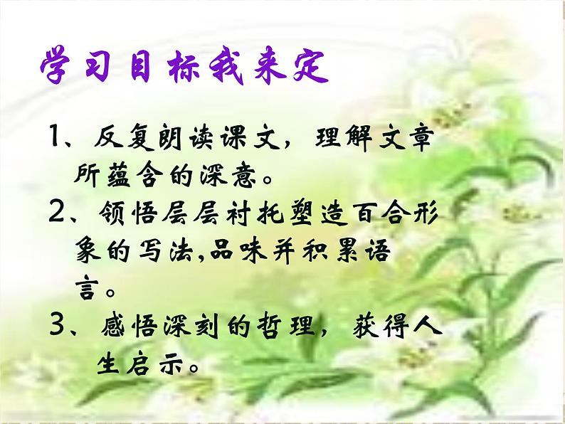 八年级上语文课件心田上的百合花开 (10)_鲁教版第3页