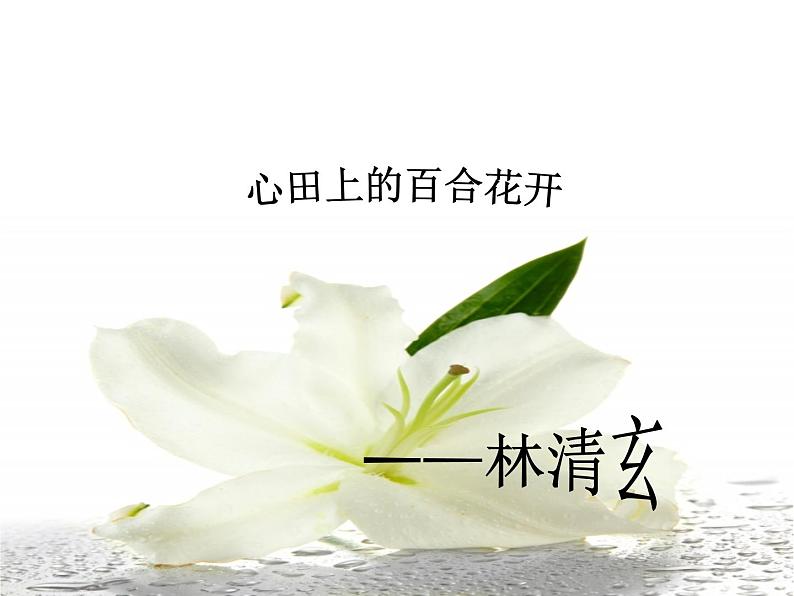 八年级上语文课件心田上的百合花开 (13)_鲁教版第2页