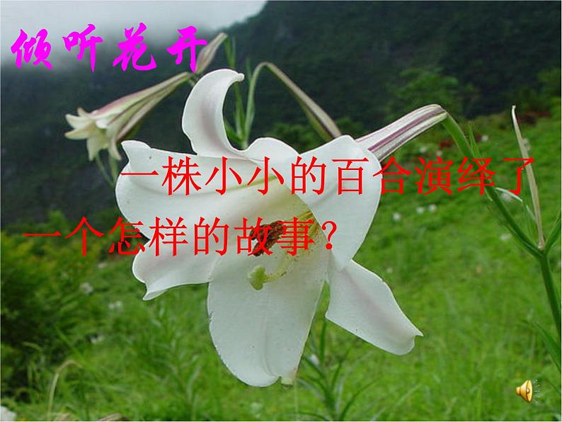 八年级上语文课件心田上的百合花开 (9)_鲁教版第4页
