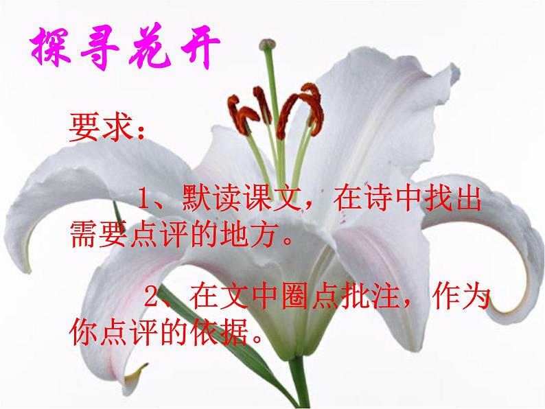 八年级上语文课件心田上的百合花开 (9)_鲁教版第6页