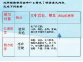 八年级上语文课件雪 (13)_鲁教版