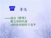 八年级上语文课件雪 (4)_鲁教版