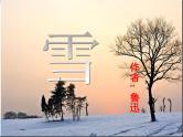 八年级上语文课件雪 (2)_鲁教版