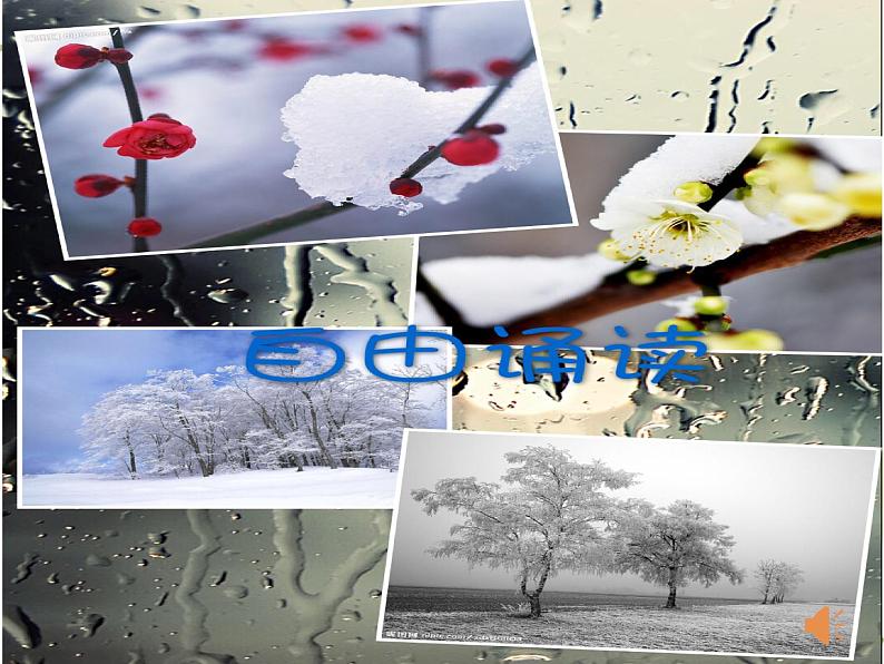 八年级上语文课件雪 (16)_鲁教版第5页