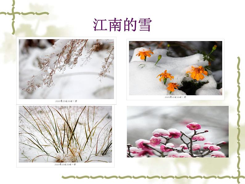 八年级上语文课件雪 (16)_鲁教版第6页