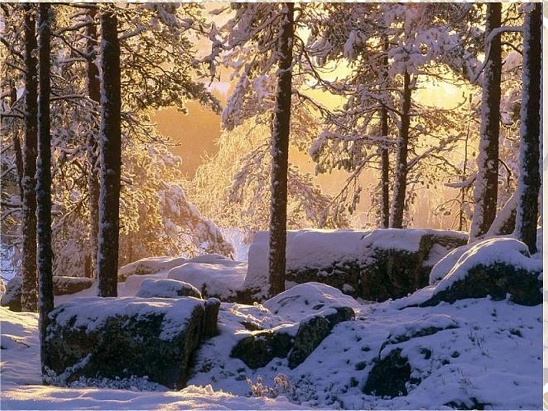 八年级上语文课件雪 (18)_鲁教版第1页