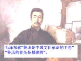 八年级上语文课件中国人失掉自信力了吗 (7)_鲁教版