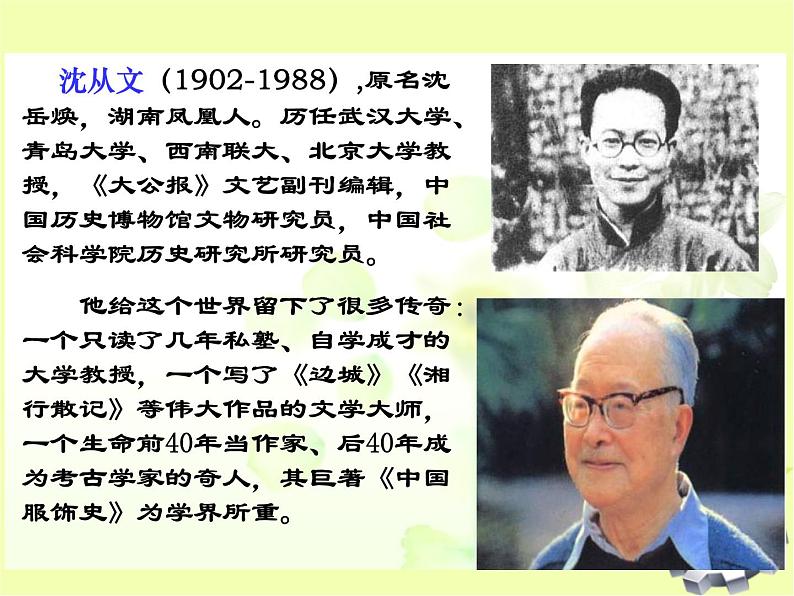 八年级上语文课件云南的歌会 (9)_鲁教版第4页