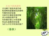 八年级上语文课件云南的歌会 (1)_鲁教版
