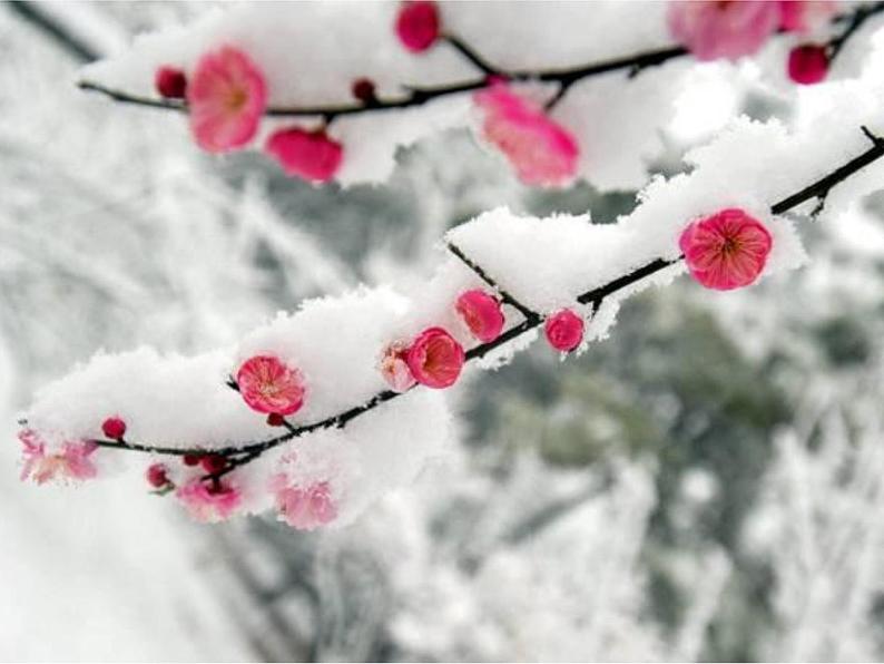 八年级上语文课件组歌  浪之歌 (14)_鲁教版第3页