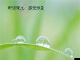 八年级上语文课件组歌  雨之歌 (19)_鲁教版